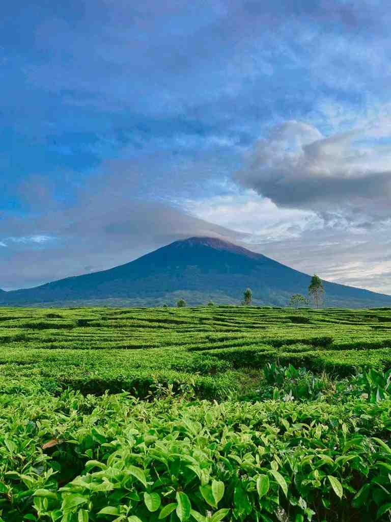 Kerinci Volcano trek